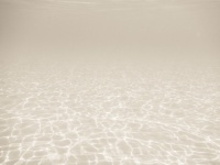Meeresboden unter Wasser