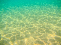 Mořské dno pod vodou