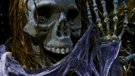 Skeleton Face Of Halloween