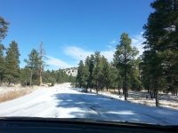 Zonnige Snowy Road