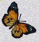 Vernice farfalla gialla
