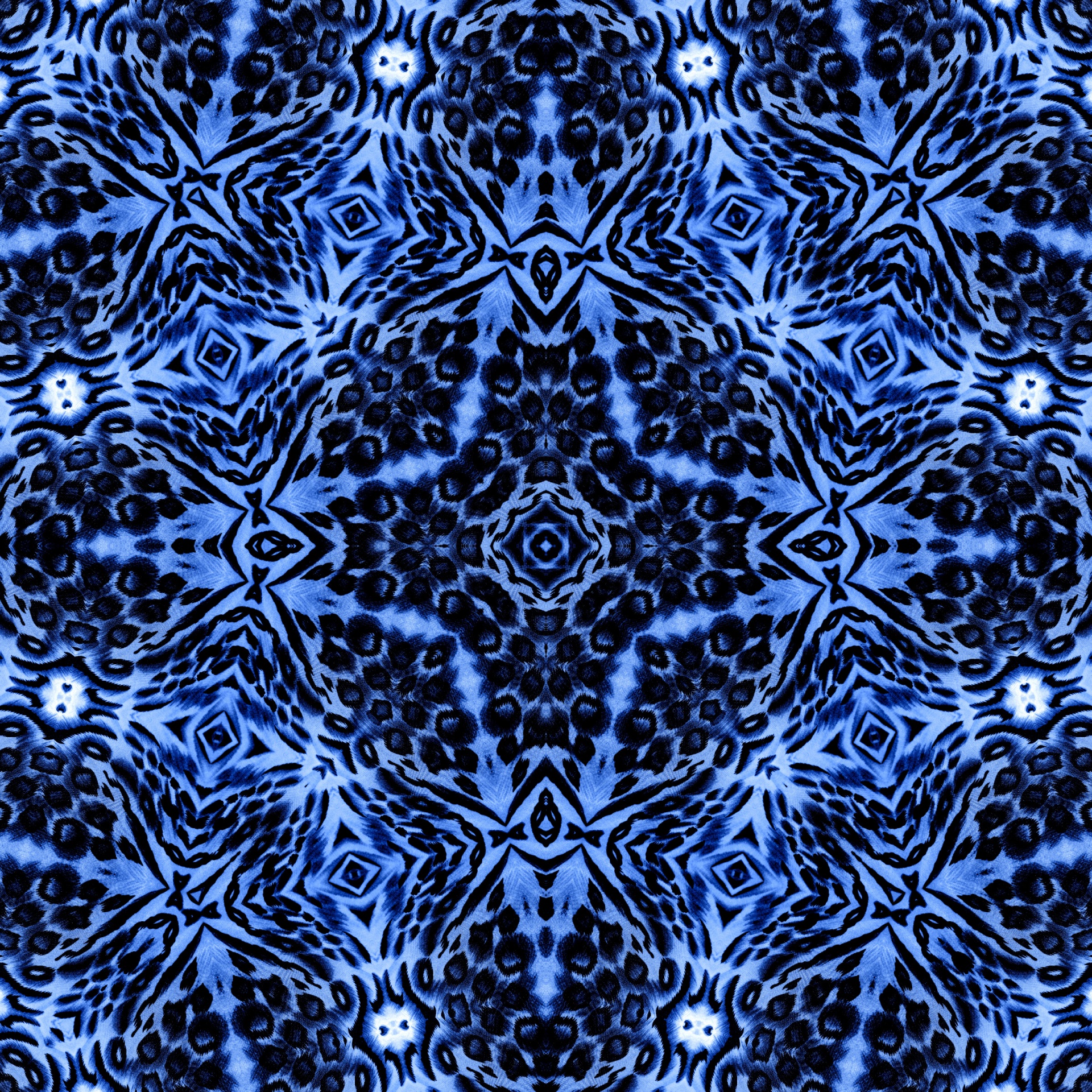 Blue Background, 2015 (98)