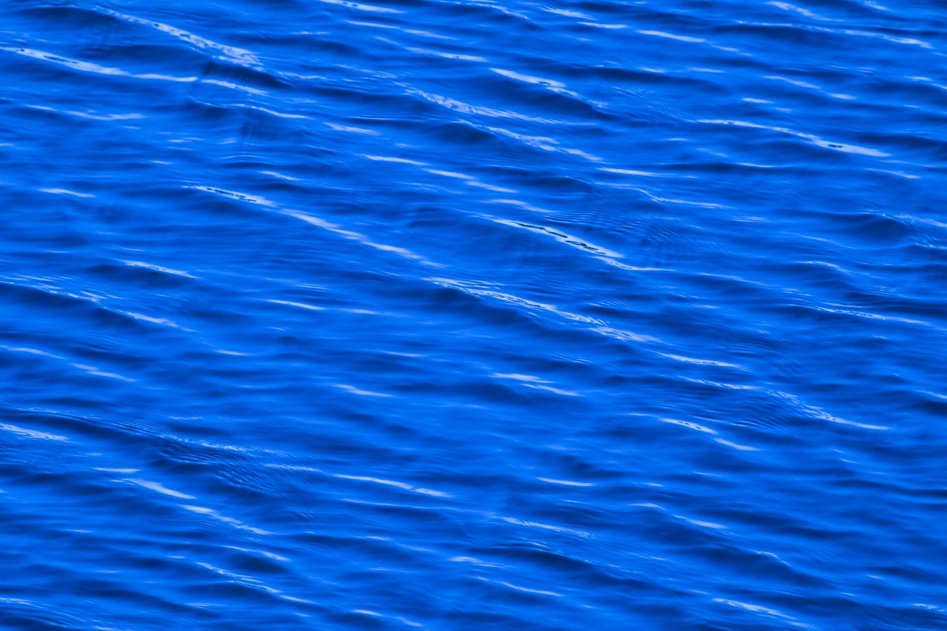 Blue Water Surface Free Stock Photo Public Domain Pictures