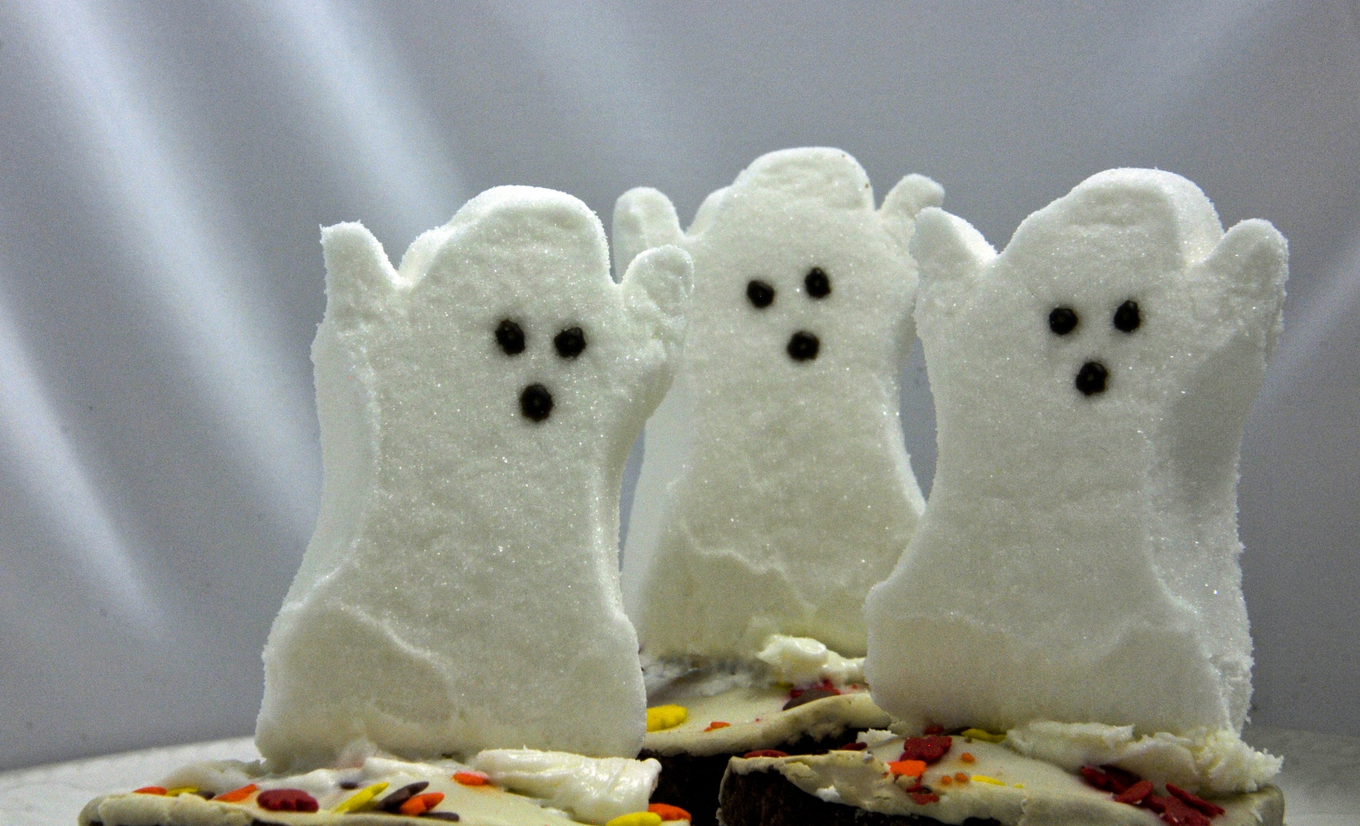 Halloween Ghost Cupcakes Free Stock Photo - Public Domain Pictures