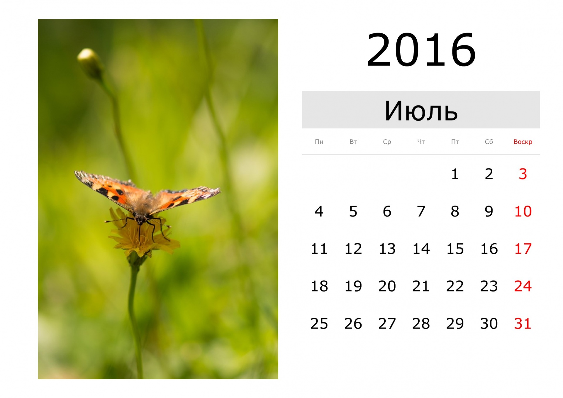 カレンダー 2016年7月 ロシア 無料画像 Public Domain Pictures