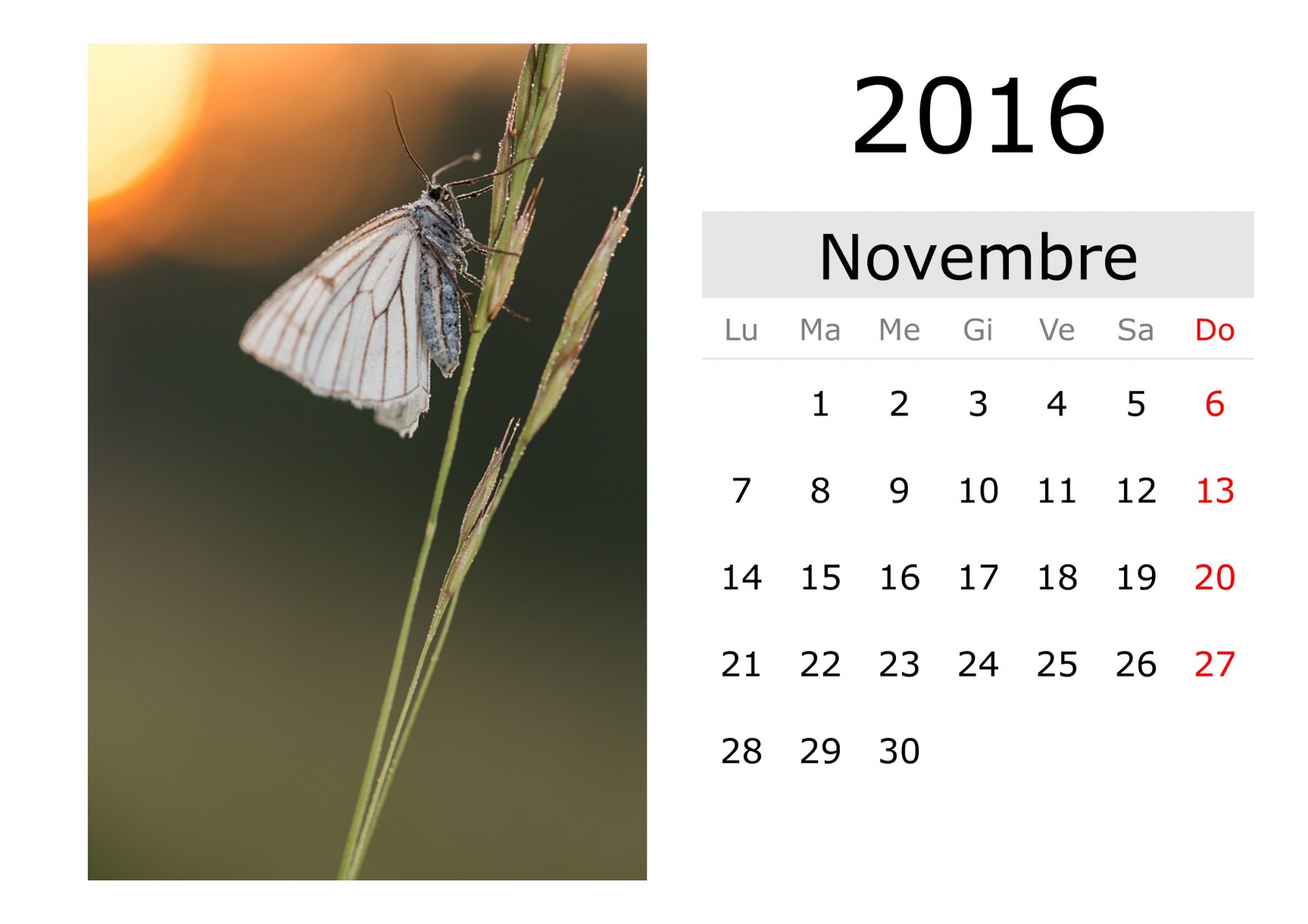 calendar-november-2016-italian-free-stock-photo-public-domain