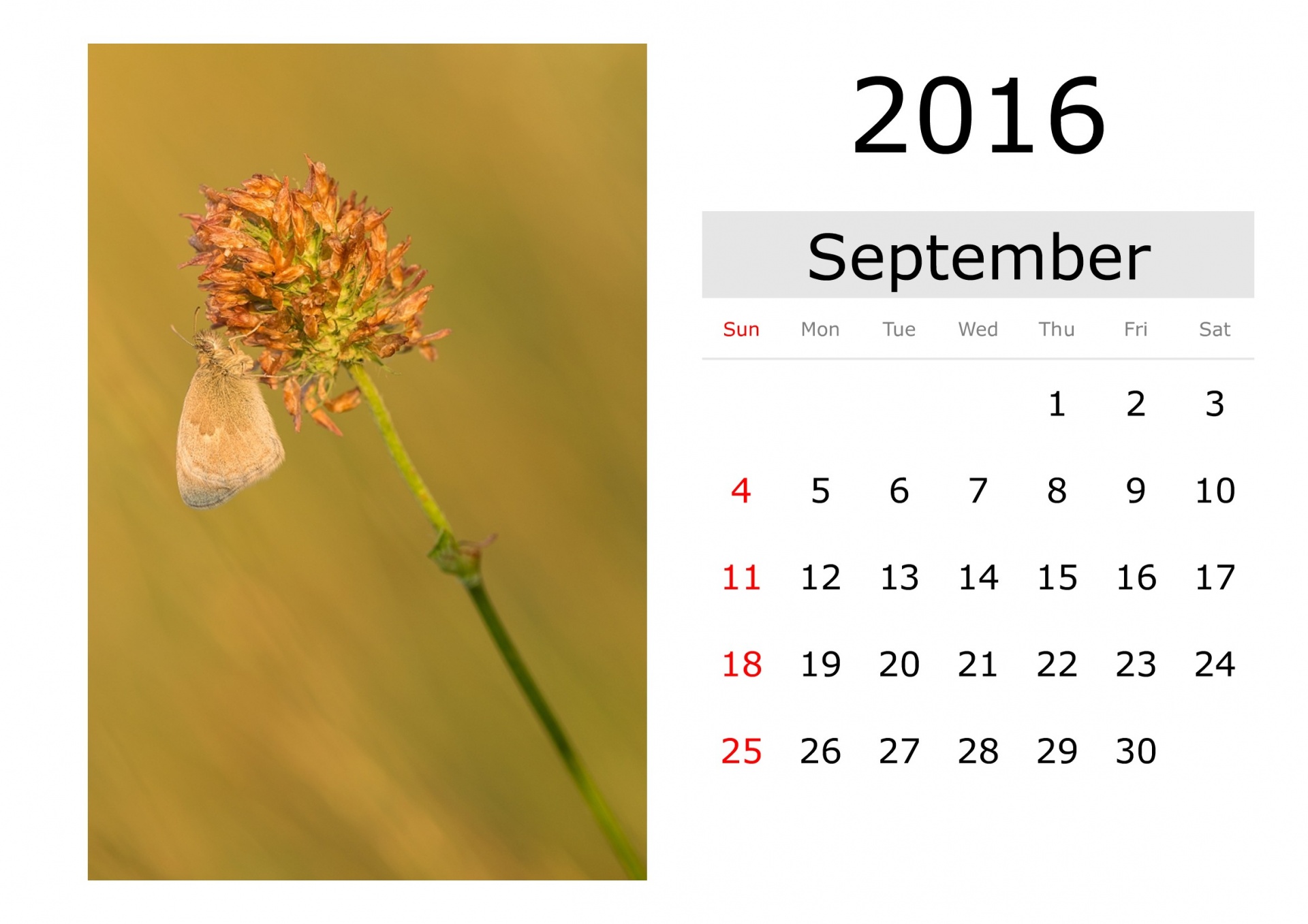 Календарь - сентябрь 2016 (на английском