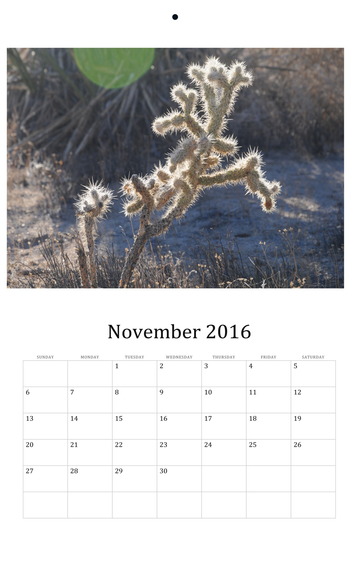 november-2016-wall-calendar-free-stock-photo-public-domain-pictures