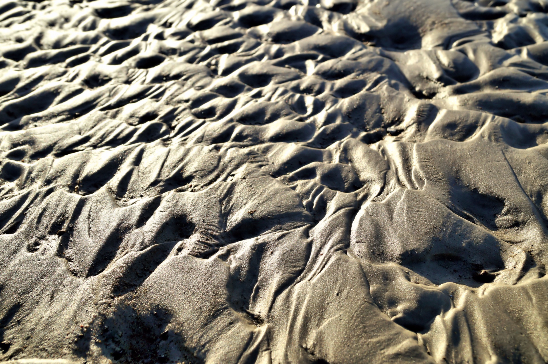 Areia molhada Photo