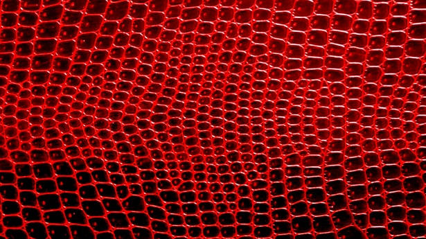 Red Crocodile Skin Background Free Stock Photo - Public Domain Pictures
