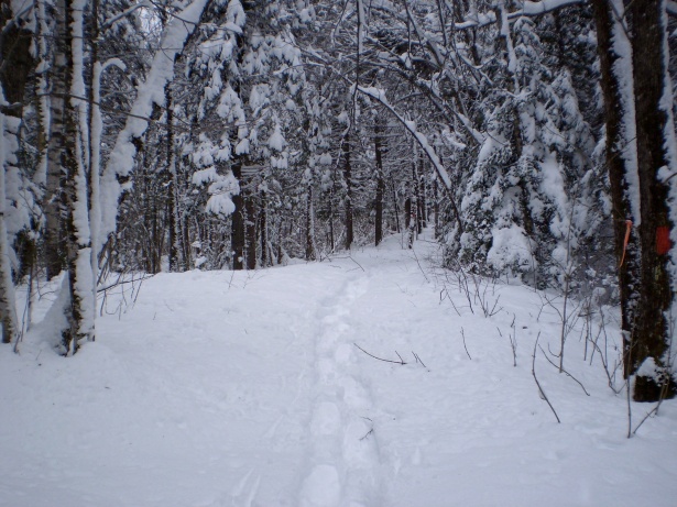 Snowshoeing Free Stock Photo - Public Domain Pictures