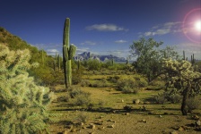 Het Landschap van Arizona