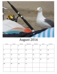 Août 2016 Calendrier des oiseaux sauvage