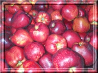 Hintergrund mit Äpfeln