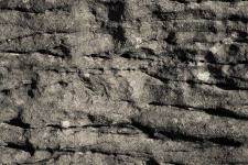 Fundal maro piatra