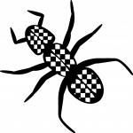 Checker Ant