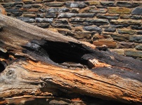 Deadwood against stone wall