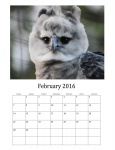 Februar 2016 Calendar of Birds