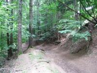Calea de pădure