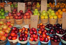 Frutta al Farmers 'Market