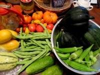 Giardino verdura fresca varietà