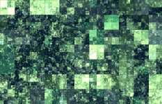 Grüne Quadrat-Hintergrund
