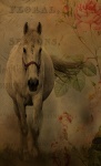Horse Vintage Floral Background