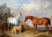 Pferde und ein Hund