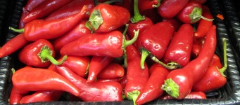 Hot Peppers Red