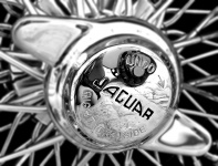 Jaguar roda de carro