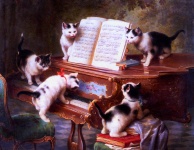 Gattini che giocano il piano