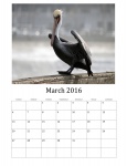 03. 2016 Kalendář Birds
