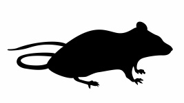 Myš silueta posezení