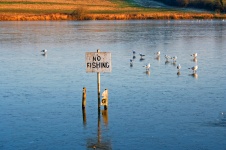 Proibido pescar