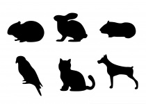Pet icone silhouette