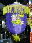 Violet Chinese Lantern