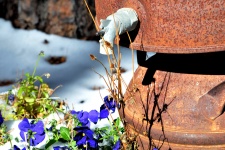 Rusty Watering Pot