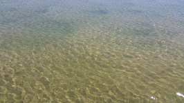 Praia de água clareza onda do mar