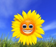 Smiley Sunflower
