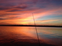 Apus de soare de pescuit