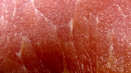 Uncooked Bacon Meat