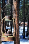 Vintage Campfire lantern