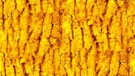 Yellow Seamless-Barke-Hintergrund