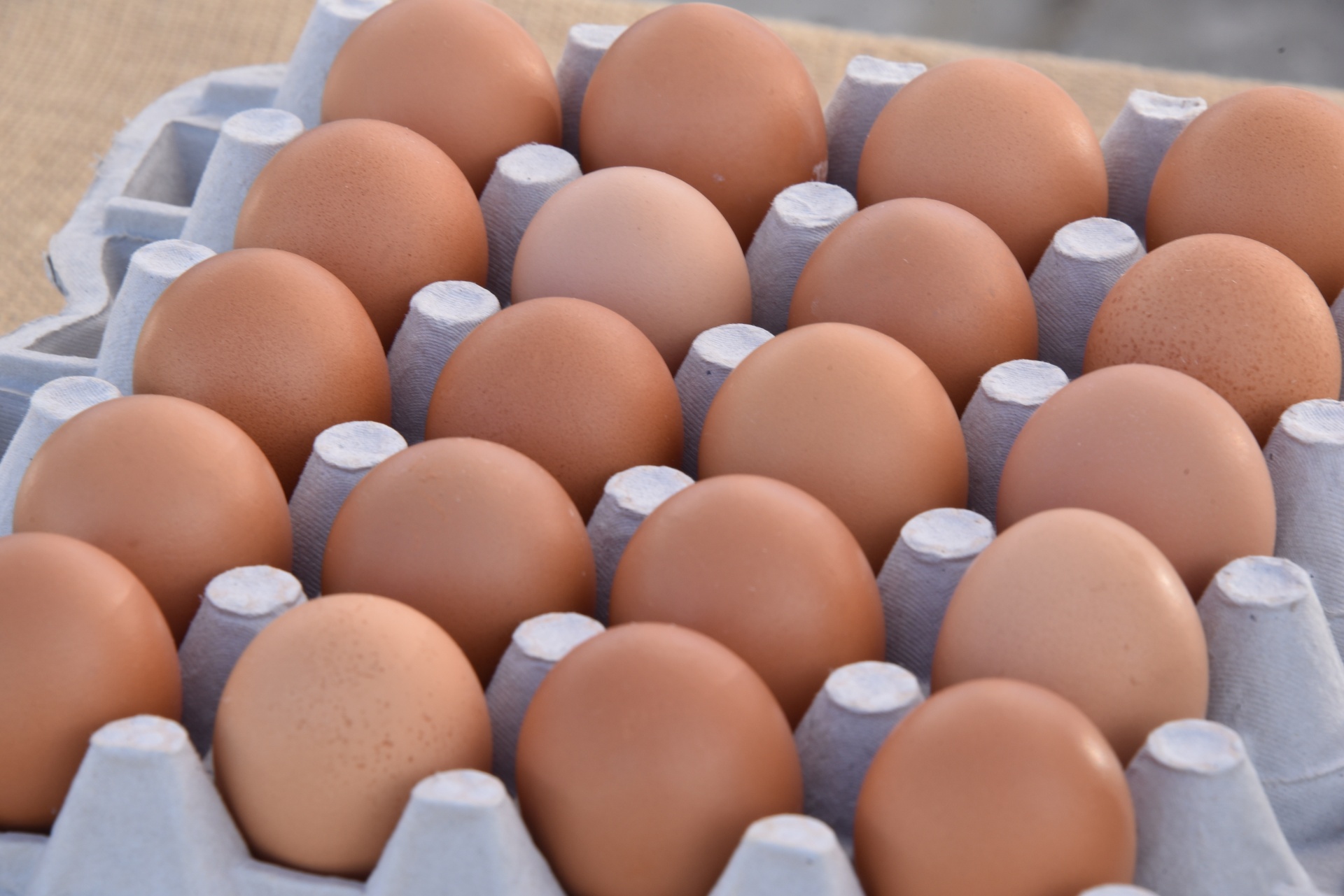 20 Brown Eggs