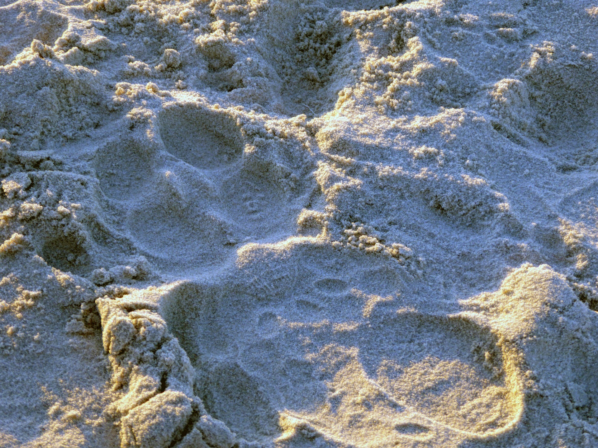 Verschiedene Spuren im Sand