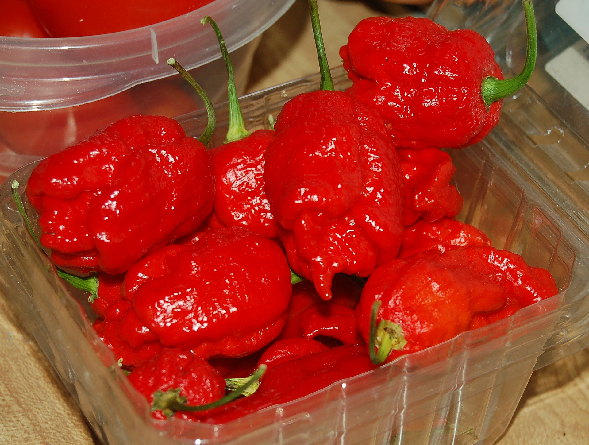 Chile Pepper Free Stock Photo - Public Domain Pictures