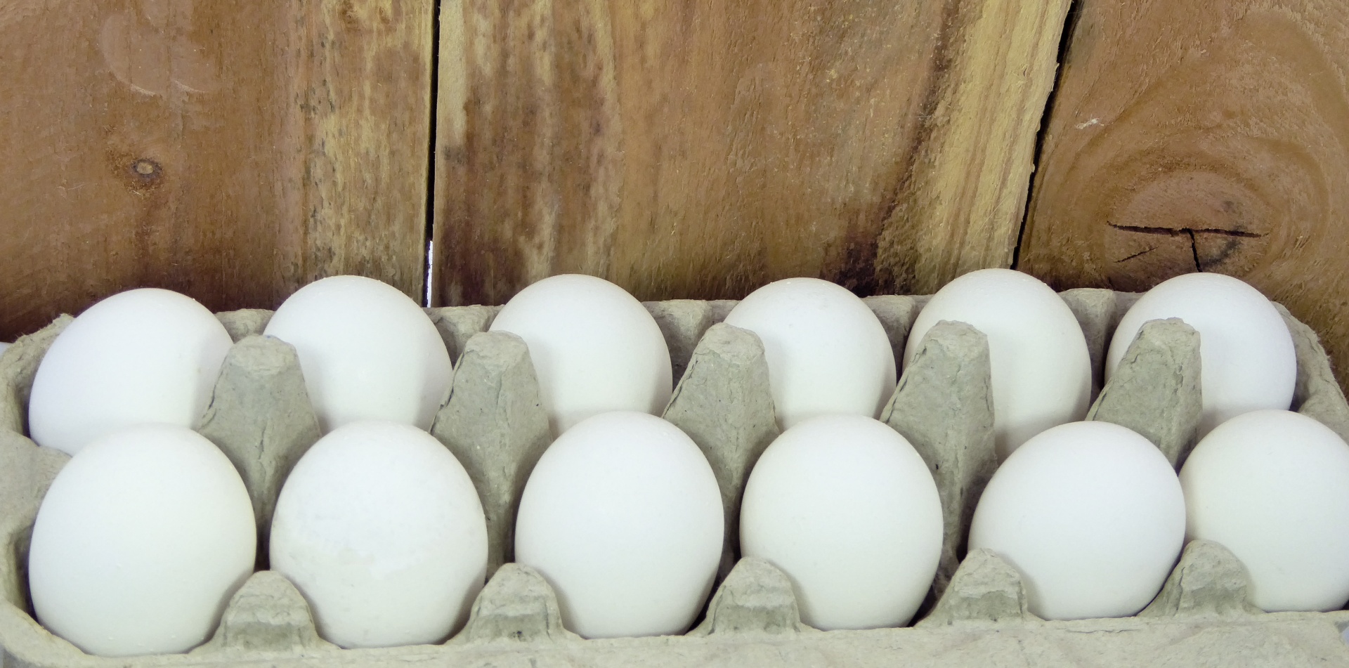 Dutzend Eier Und Holzzaun Kostenloses Stock Bild Public Domain Pictures