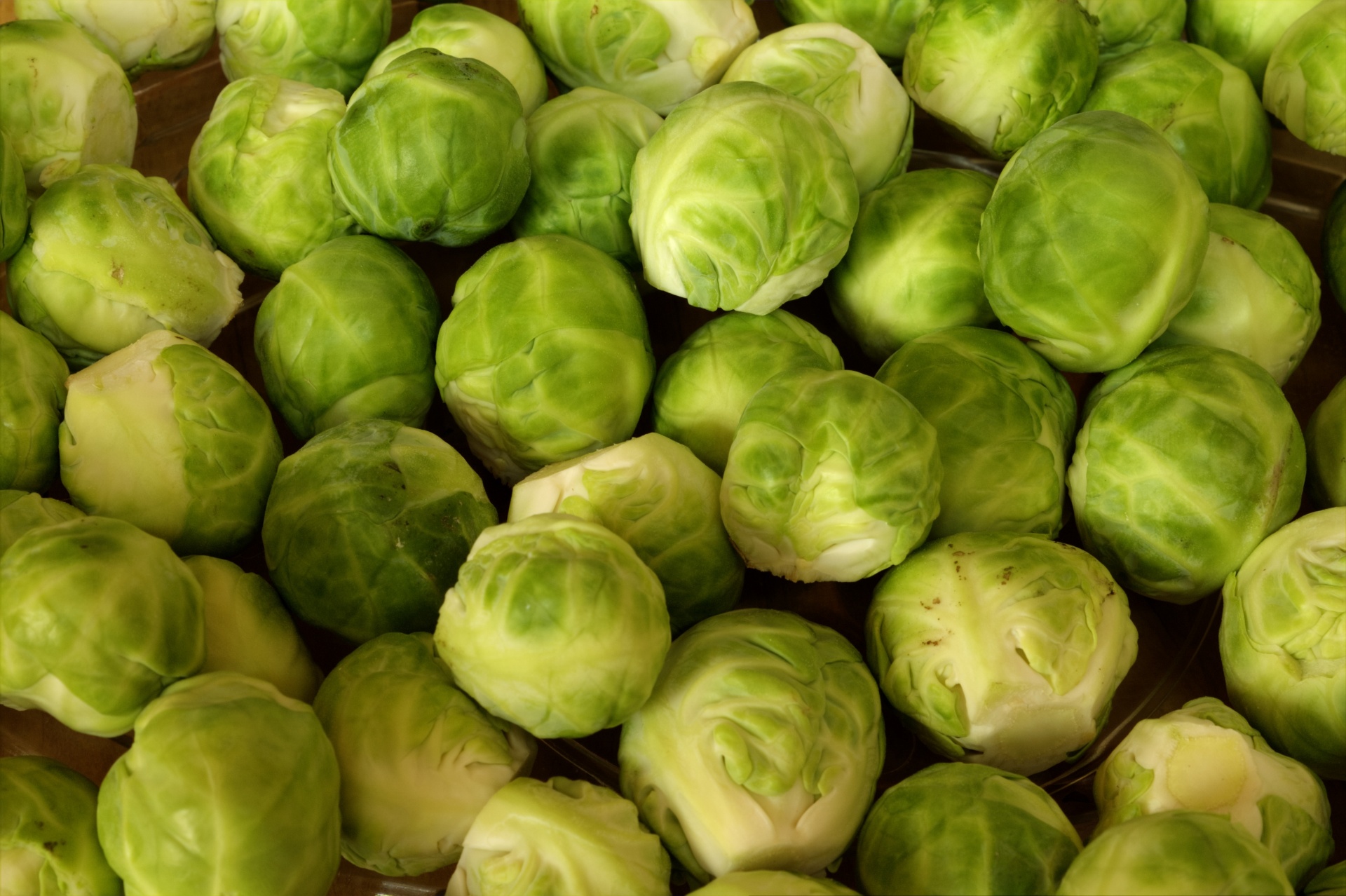 Image result for brussel sprouts