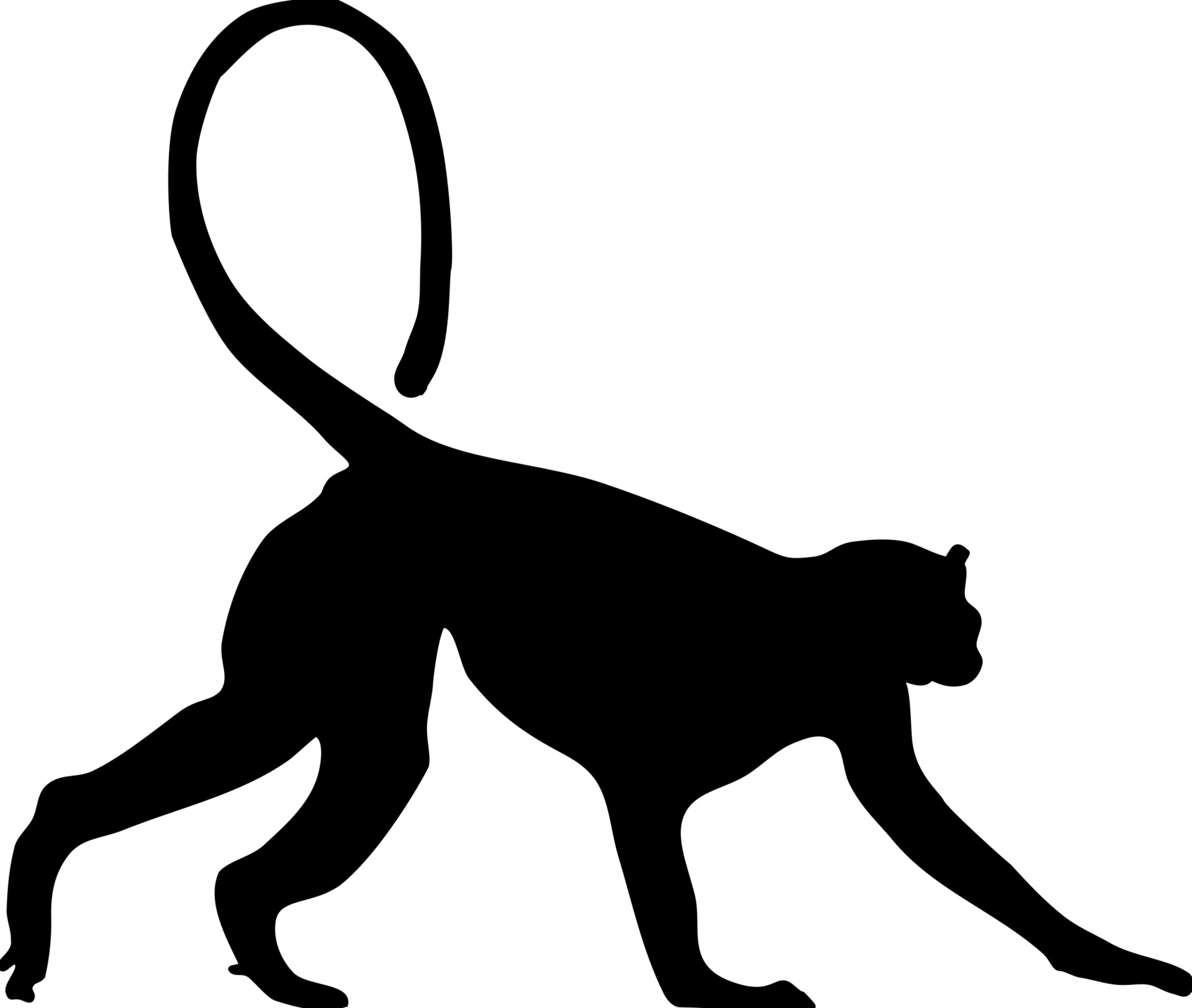 猴 蜘蛛猴 灵长类动物 - Pixabay上的免费照片 - Pixabay