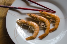 3 Shrimp